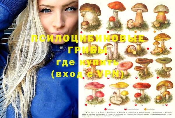 jwh Алзамай