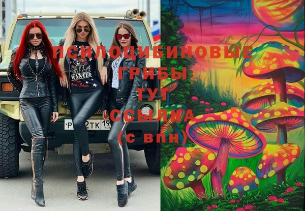 ECSTASY Алексин